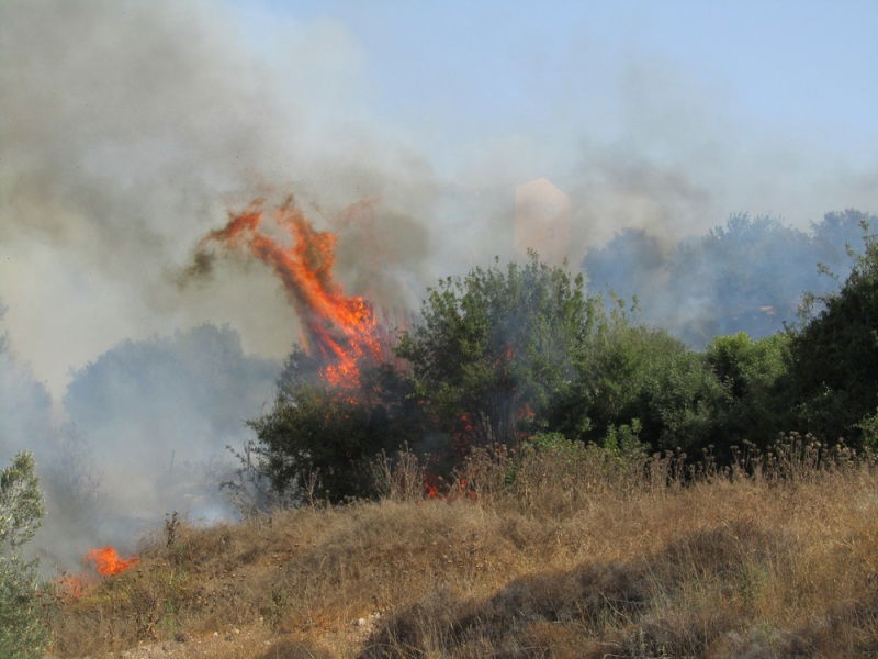 'עונה בוערת': דליקת ענק ברמת בית שמש