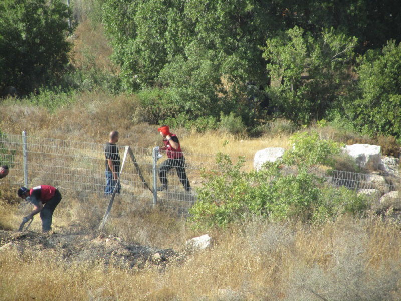 'עונה בוערת': דליקת ענק ברמת בית שמש