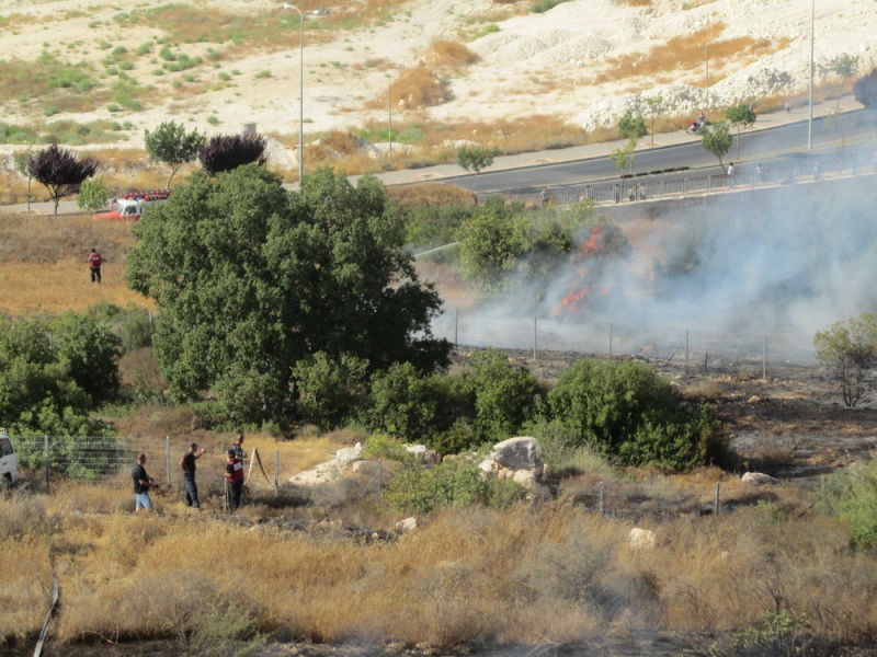 'עונה בוערת': דליקת ענק ברמת בית שמש