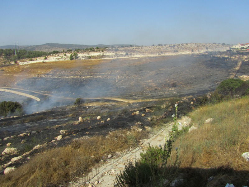 'עונה בוערת': דליקת ענק ברמת בית שמש