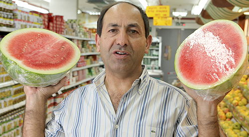 תומך באוהלים. לוי