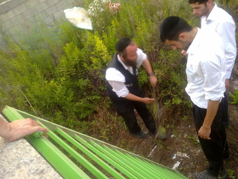 "התנפלו עלינו עם מבטי רצח בעיניים, כמו המון ערבי מוסת"