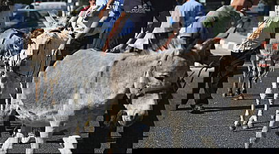 מחאה נגד מצעד התועבה בירושלים