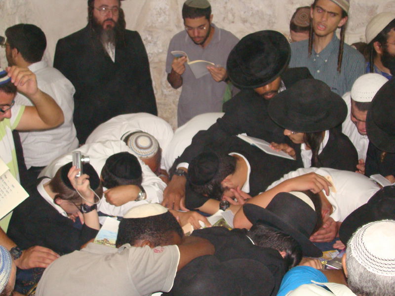 כניסה לילית לשכם: "חילול הקבר - ברבריות מזעזעת"