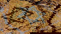 בעקבות הרצח: גולשי "כיכר השבת" כותבים על הכאב