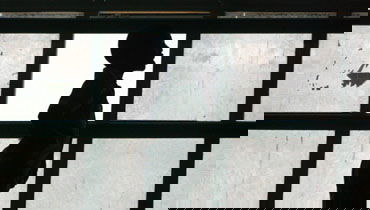 אילוסטרציה