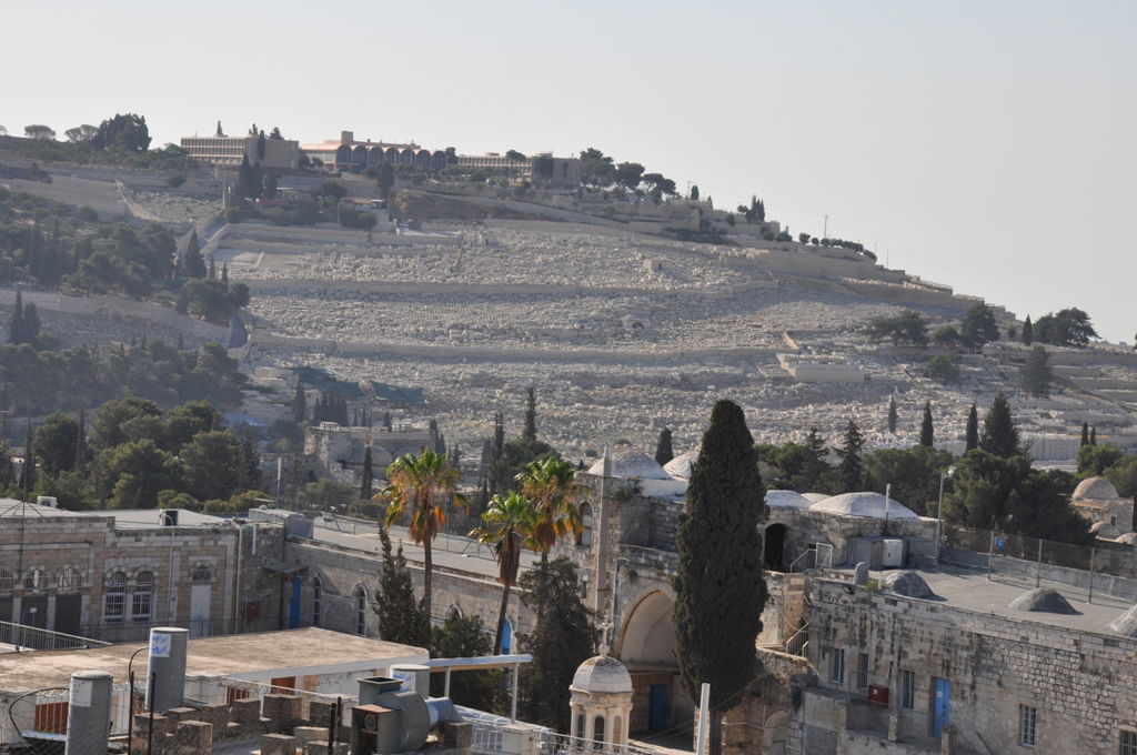 הַר צִיּוֹן שֶׁשָּׁמֵם: מסע בעקבות החורבן, בין סמטאות ירושלים