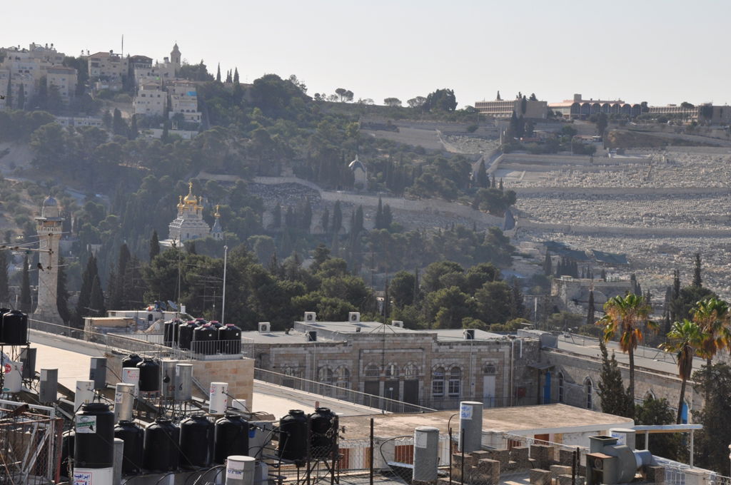 הַר צִיּוֹן שֶׁשָּׁמֵם: מסע בעקבות החורבן, בין סמטאות ירושלים