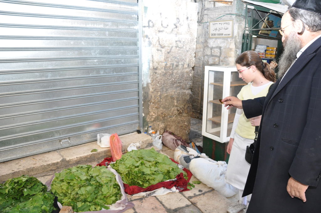 הַר צִיּוֹן שֶׁשָּׁמֵם: מסע בעקבות החורבן, בין סמטאות ירושלים