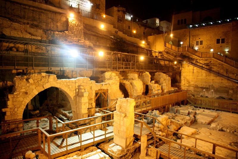 צפו בתמונות: אומנים מתל-אביב דמעו מול הכותל