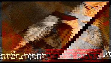 הגראי"ל שטיינמן