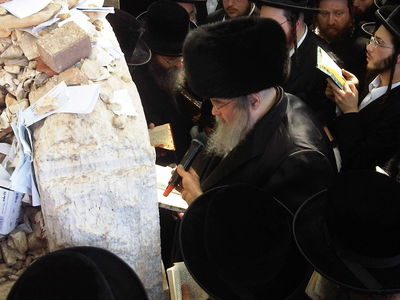 הילולא בבעלזא: האדמו"ר עלה אל הציון