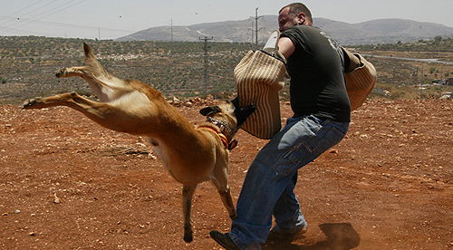 ,במהלך אימון