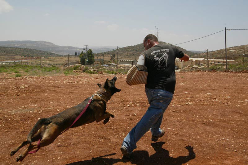 אימת המחבלים: מתנחל דתי שהקים יחידת כלבים מיוחדת