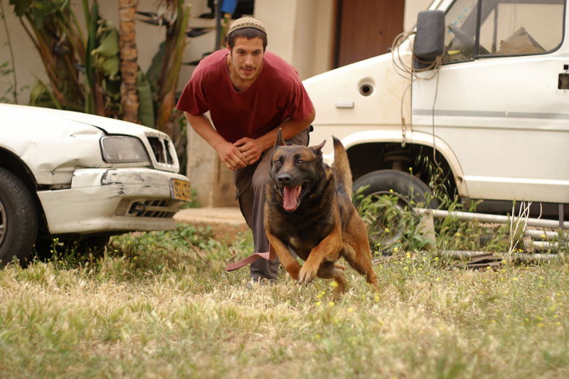 אימת המחבלים: מתנחל דתי שהקים יחידת כלבים מיוחדת