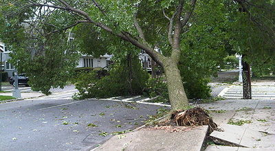 אחרי המבול. ניו-יורק, היום