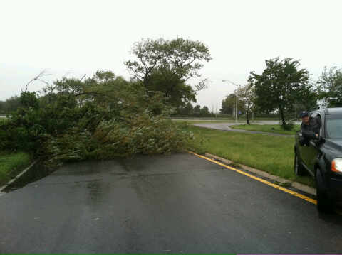טרגדיה במונסי: כבל חשמל קרס, אברך נהרג וילד נפצע