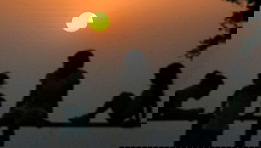 אילוסטרציה