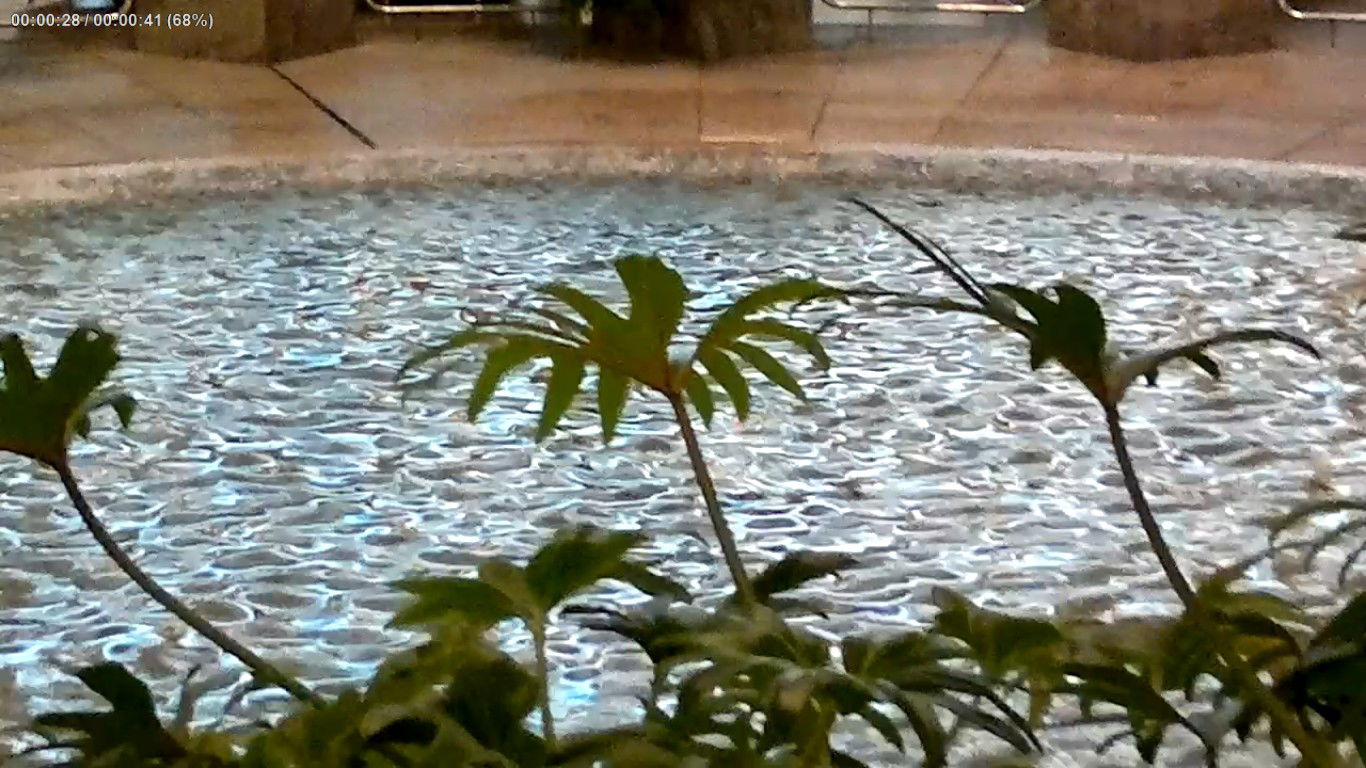 אז של מי הגלריה הכי יפה? אתם תחליטו