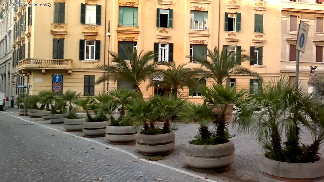 אז של מי הגלריה הכי יפה? אתם תחליטו