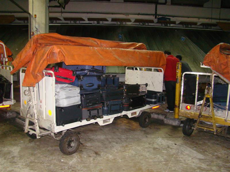 תיעוד: הנוסעים לאומן כובשים את נתב"ג