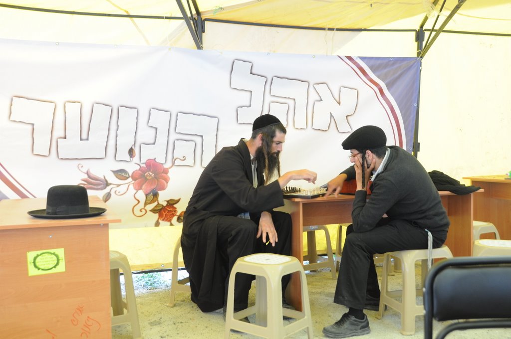 "רבינו, אני בדרך אליך" ● כל הדרך מנתב"ג לאומן ● גלריה
