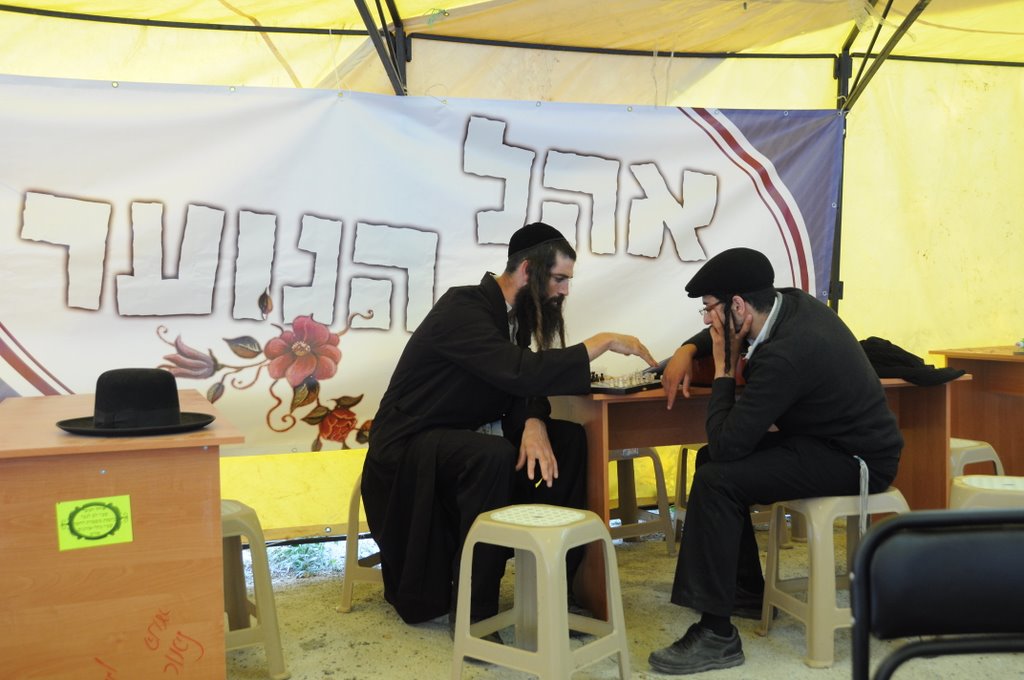 "רבינו, אני בדרך אליך" ● כל הדרך מנתב"ג לאומן ● גלריה