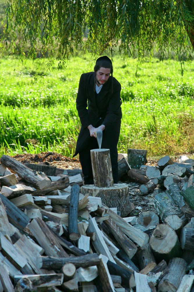 40,000 התפללו אצל רבינו ● עיצומו של ראש השנה באומן