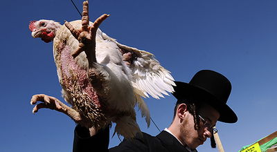 (צילום אילוסטרציה: פלאש 90)