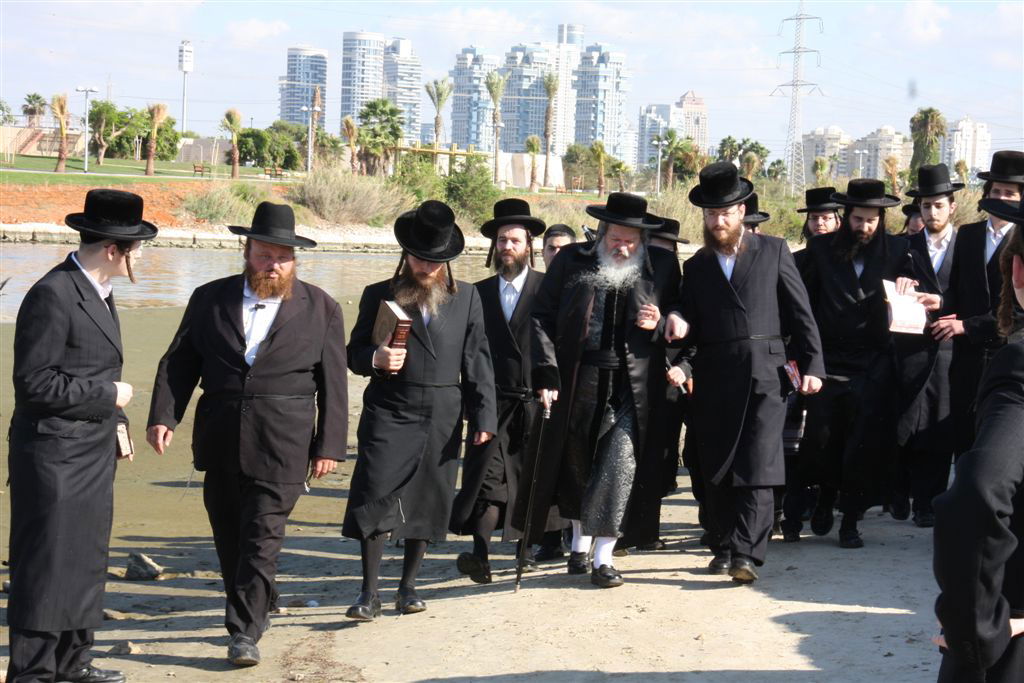 צפו בתמונות: 'תשליך' מעולם אחר