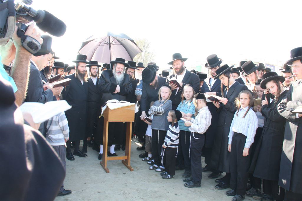 צפו בתמונות: 'תשליך' מעולם אחר