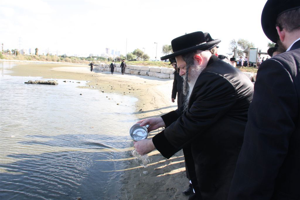 צפו בתמונות: 'תשליך' מעולם אחר