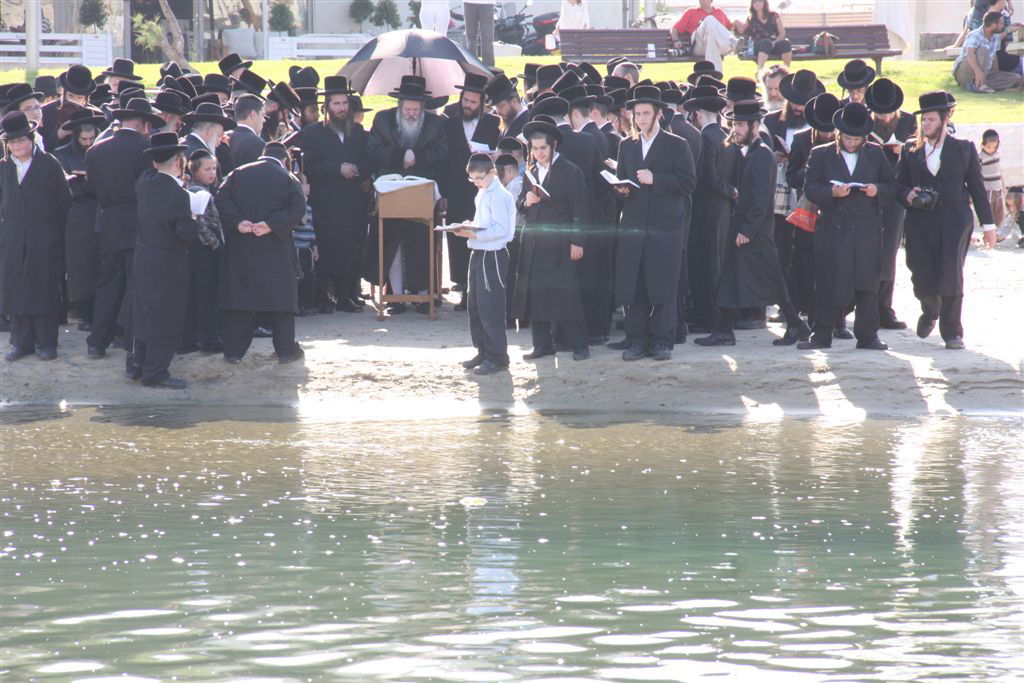צפו בתמונות: 'תשליך' מעולם אחר