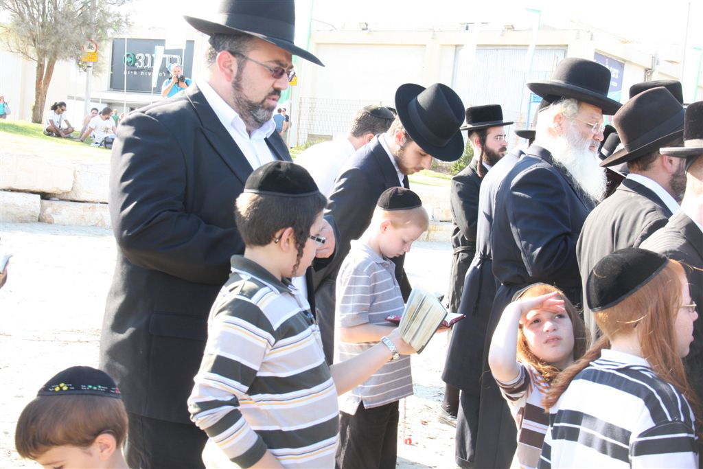 צפו בתמונות: 'תשליך' מעולם אחר