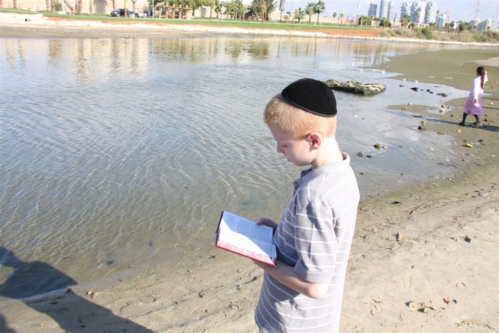 צפו בתמונות: 'תשליך' מעולם אחר