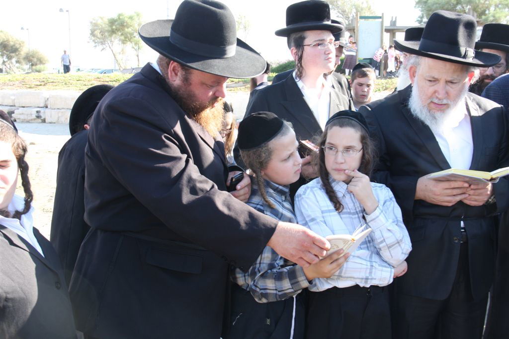 צפו בתמונות: 'תשליך' מעולם אחר