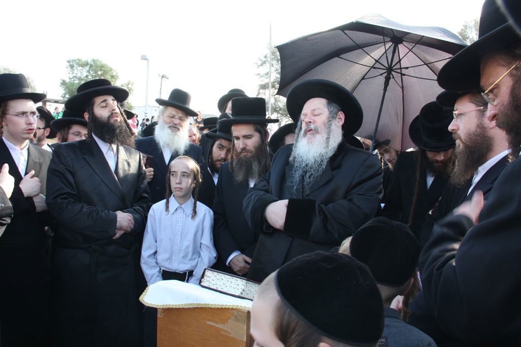 צפו בתמונות: 'תשליך' מעולם אחר