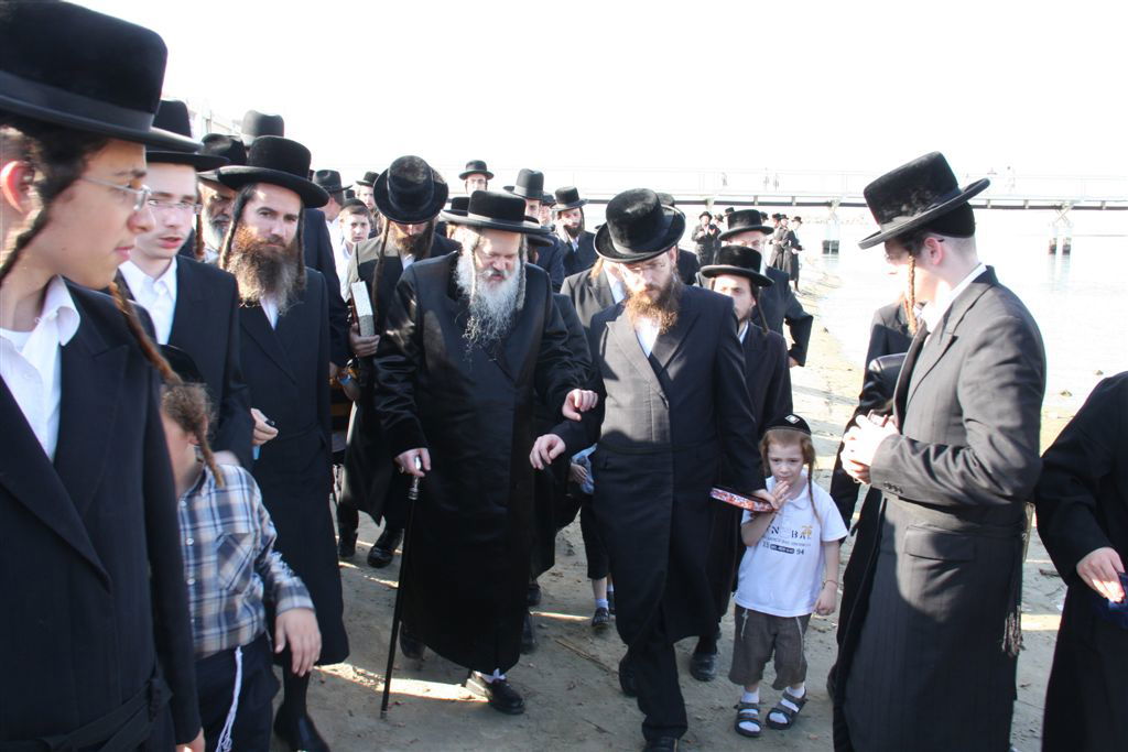 צפו בתמונות: 'תשליך' מעולם אחר