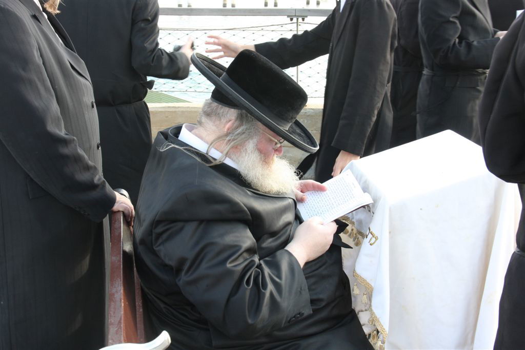 צפו בתמונות: 'תשליך' מעולם אחר