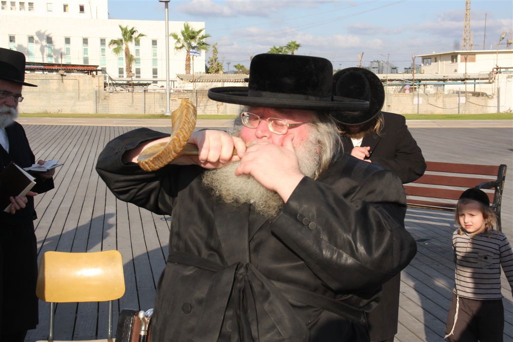 צפו בתמונות: 'תשליך' מעולם אחר