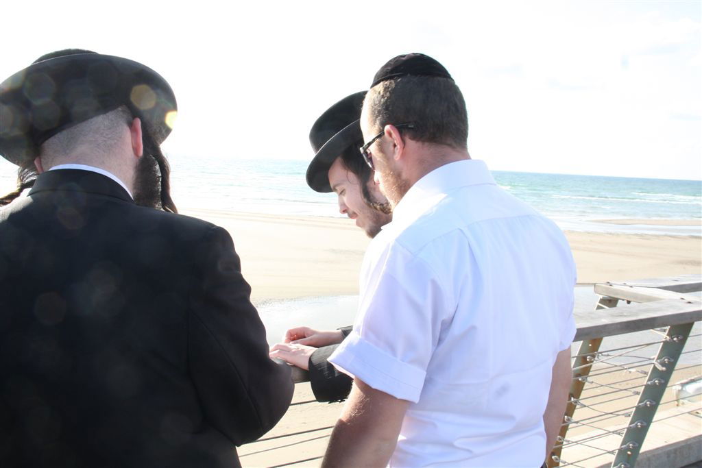 צפו בתמונות: 'תשליך' מעולם אחר