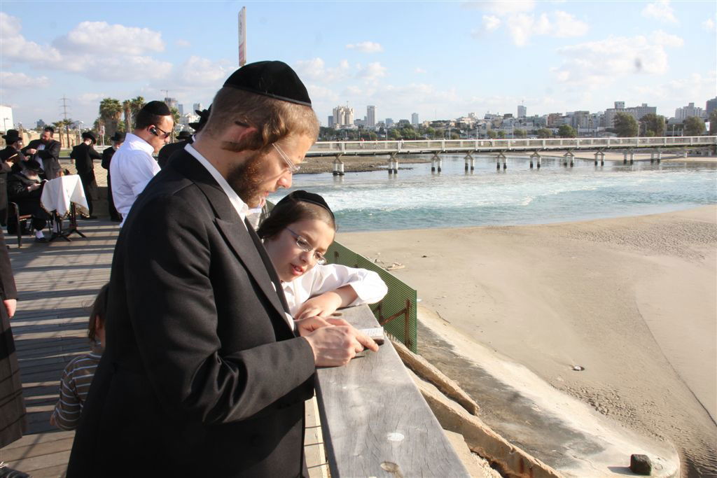 צפו בתמונות: 'תשליך' מעולם אחר