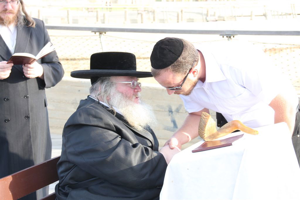 צפו בתמונות: 'תשליך' מעולם אחר