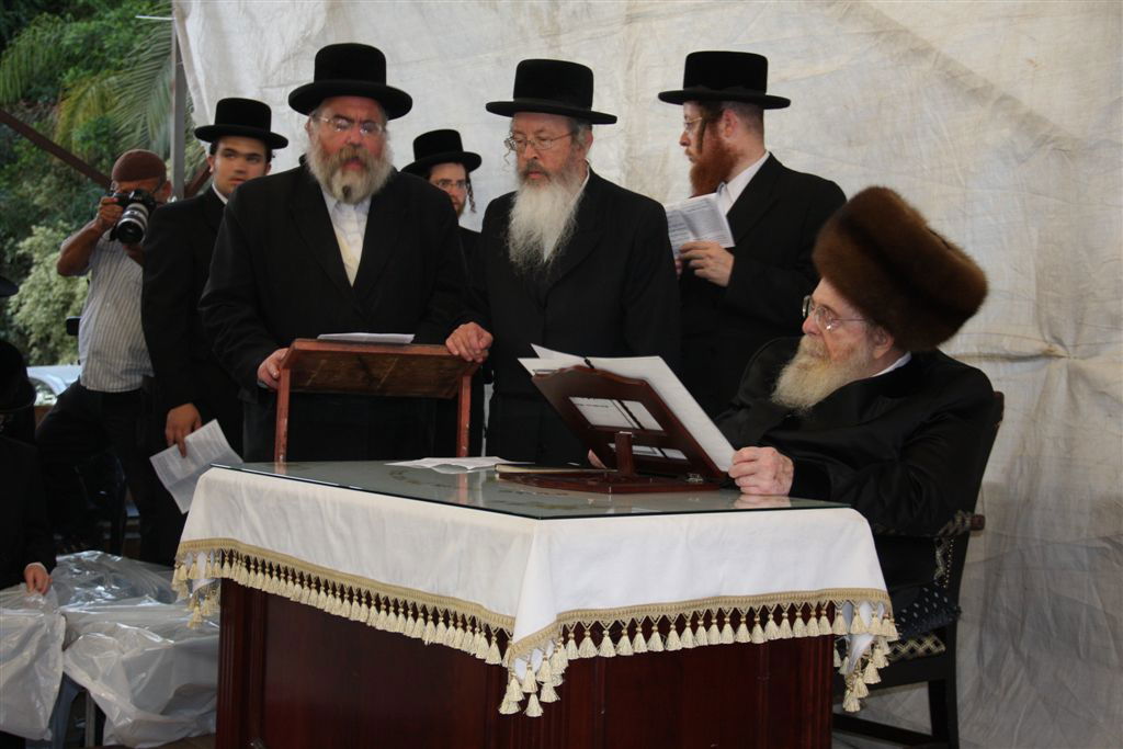 צפו בתמונות: 'תשליך' מעולם אחר