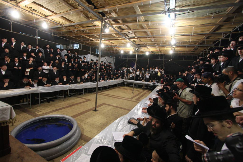 צפו בתמונות: 'תשליך' מעולם אחר