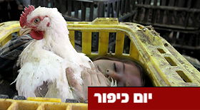 מחפשים חומר תורני ליום כיפור? הקליקו