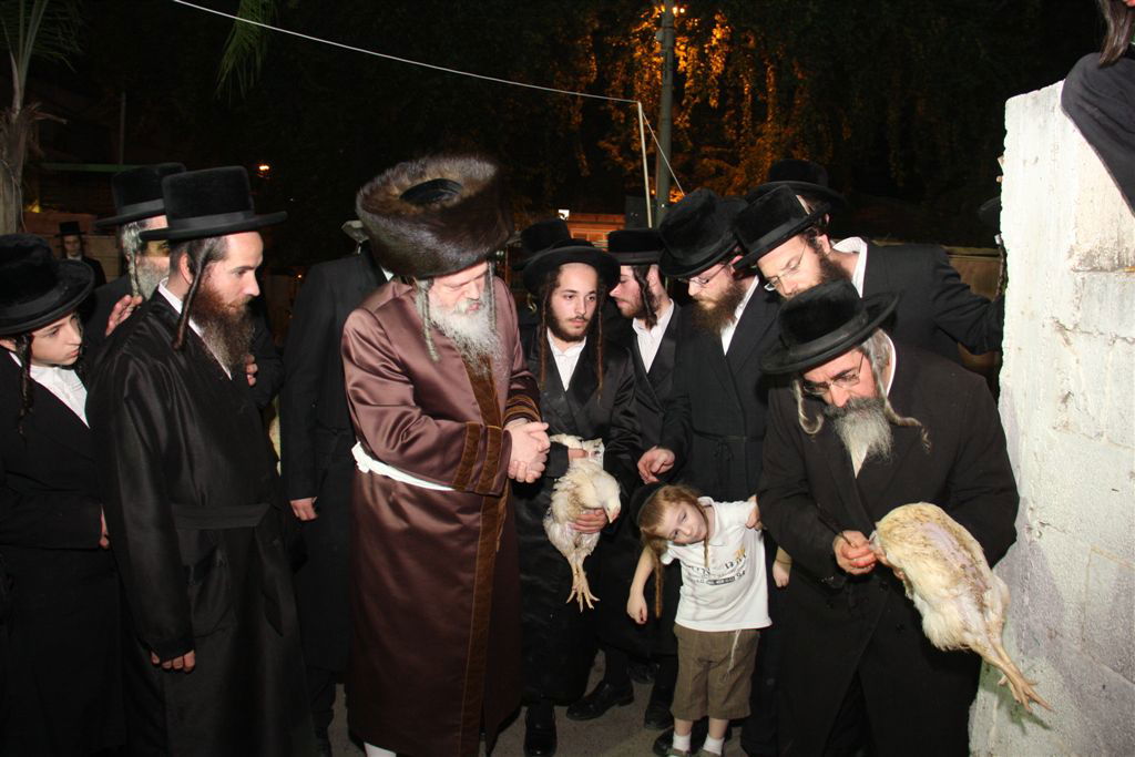 פרמישלאן: האדמו"ר כיפר על תרנגול ענק