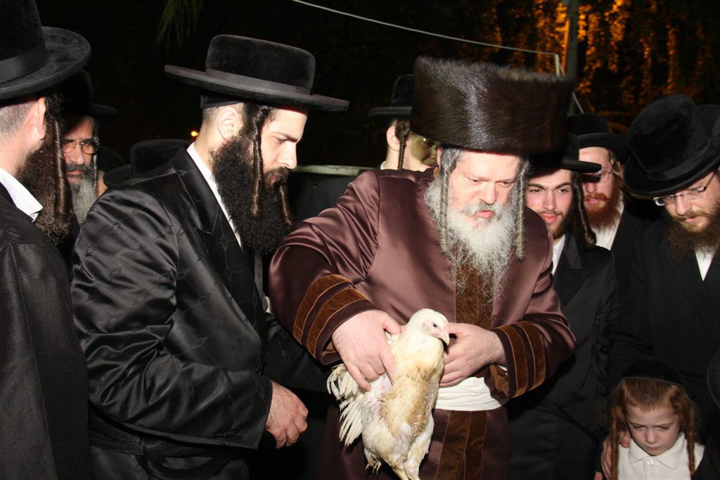 פרמישלאן: האדמו"ר כיפר על תרנגול ענק