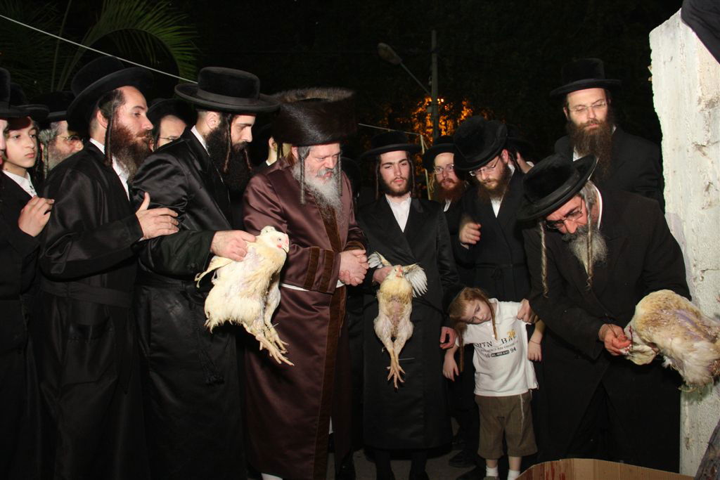 פרמישלאן: האדמו"ר כיפר על תרנגול ענק