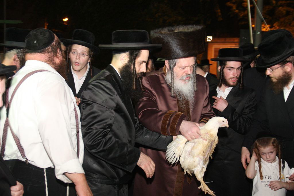 פרמישלאן: האדמו"ר כיפר על תרנגול ענק